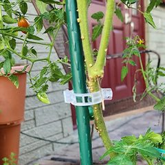 Garden Plant Support Plastic Clips Ideal for Tomatoes (25mm) - Pack of 100