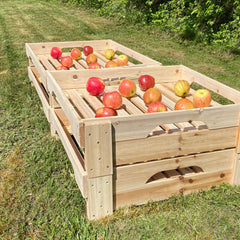 Traditional Wooden Apple Storage Tray Rack - Pack of 4