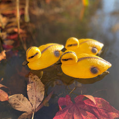 Yellow Ducklings Pond Ornament Hunting Shooting Floating Decoy - Pack of 3