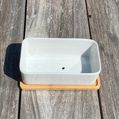 White Succulent and Cactus Ceramic Trough Plant Pots - Pack of 2