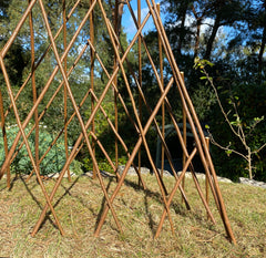 Expanding Willow Obelisk Garden Plant Support (1.2m high)