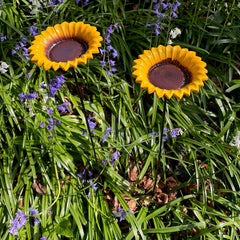 Cast Iron Wild Bird Sunflower Dish Bird Feeder