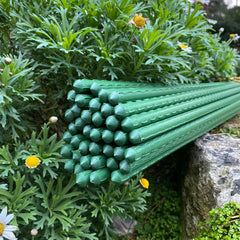 Plastic Coated Metal Garden Plant Support Sticks (140cm) - Pack of 40
