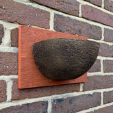 Swallow Nest Bird House Rounded Half Cup Nester