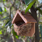 Woven House Martin Bird Rounded Cup Nester with Roof