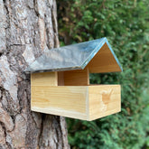 Blackbird Wooden Nesting Box House