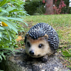 Hoglet Baby Hedgehog Resin Garden Ornament - Pack of 2