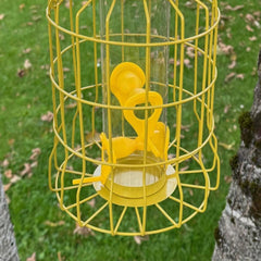 Squirrel Proof Hanging Bird Seed Feeder