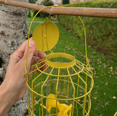 Squirrel Proof Hanging Bird Seed Feeder (Set of 2)