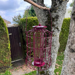 Squirrel Proof Hanging Bird Nut Feeder (Set of 2)