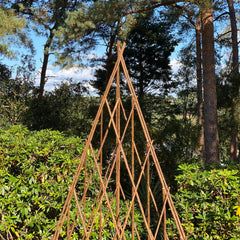 Expanding Willow Obelisks Garden Plant Support (1.5m high) - Pack of 3