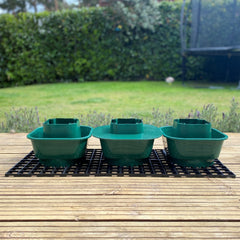 Tomato Growbag Pots - Pack of 3 - with Planting Guard & Growbag Mat