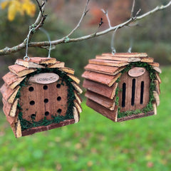 Wooden Hanging Butterfly & Ladybird Garden Bug Houses (Set of 2)