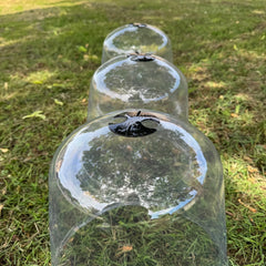 Large Plastic Plant Protection Bell Cloche Covers with Ground Pegs - Pack of 6