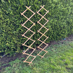 Expanding Wooden Garden Trellis (180cm x 30cm) - Pack of 2