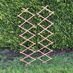 Expanding Wooden Garden Trellis (180cm x 30cm) - Pack of 2