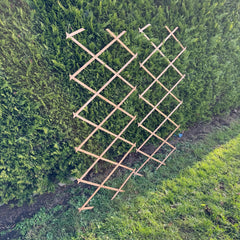 Expanding Wooden Garden Trellis (180cm x 60cm) - Pack of 2