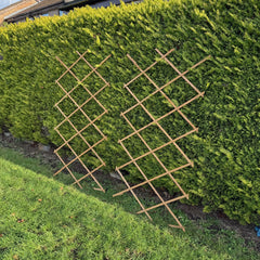 Expanding Wooden Garden Trellis (180cm x 90cm) - Pack of 2