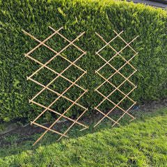 Expanding Wooden Garden Trellis (180cm x 90cm) - Pack of 2