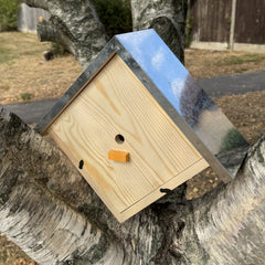 Wooden Bumble Bee Nest Box House Garden Habitat