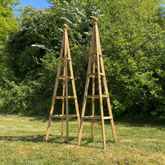 Wooden Garden Obelisk Plant Support for Climbers (1.5m tall) - Pack of 2