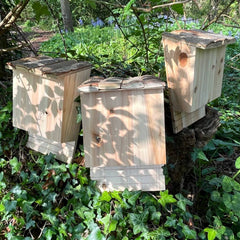 Large Wooden Bat Nesting Roosting Box (Set of 3)