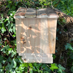 Large Wooden Bat Nesting Roosting Box (Set of 2)