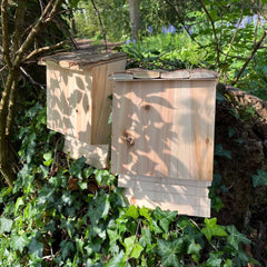 Large Wooden Bat Nesting Roosting Box (Set of 2)