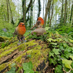 Robin on a Stone & Stump Resin Garden Ornaments - Pack of 2