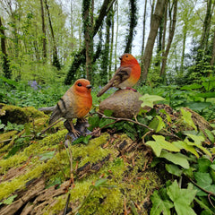 Robin on a Stone & Stump Resin Garden Ornaments - Pack of 2
