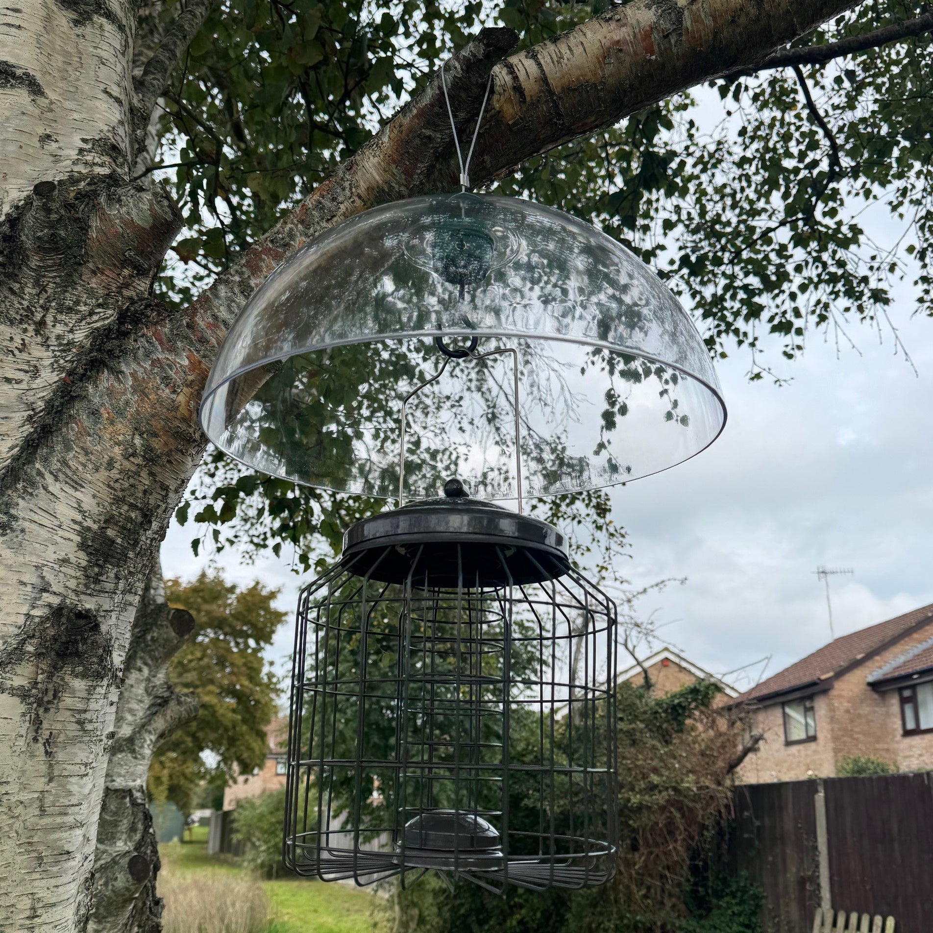 Heavy Duty Squirrel Proof Hanging Suet Fat Ball Bird Feeder & Plastic Baffle