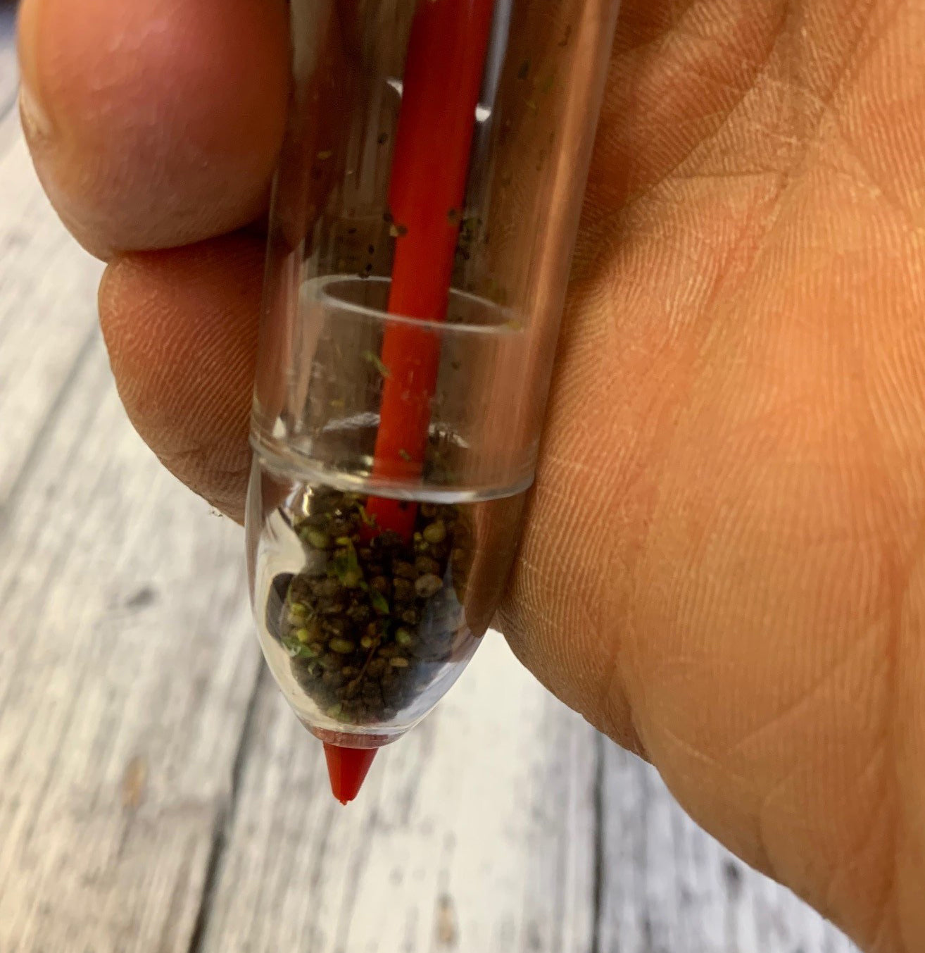 Hand Held Seed Dispenser