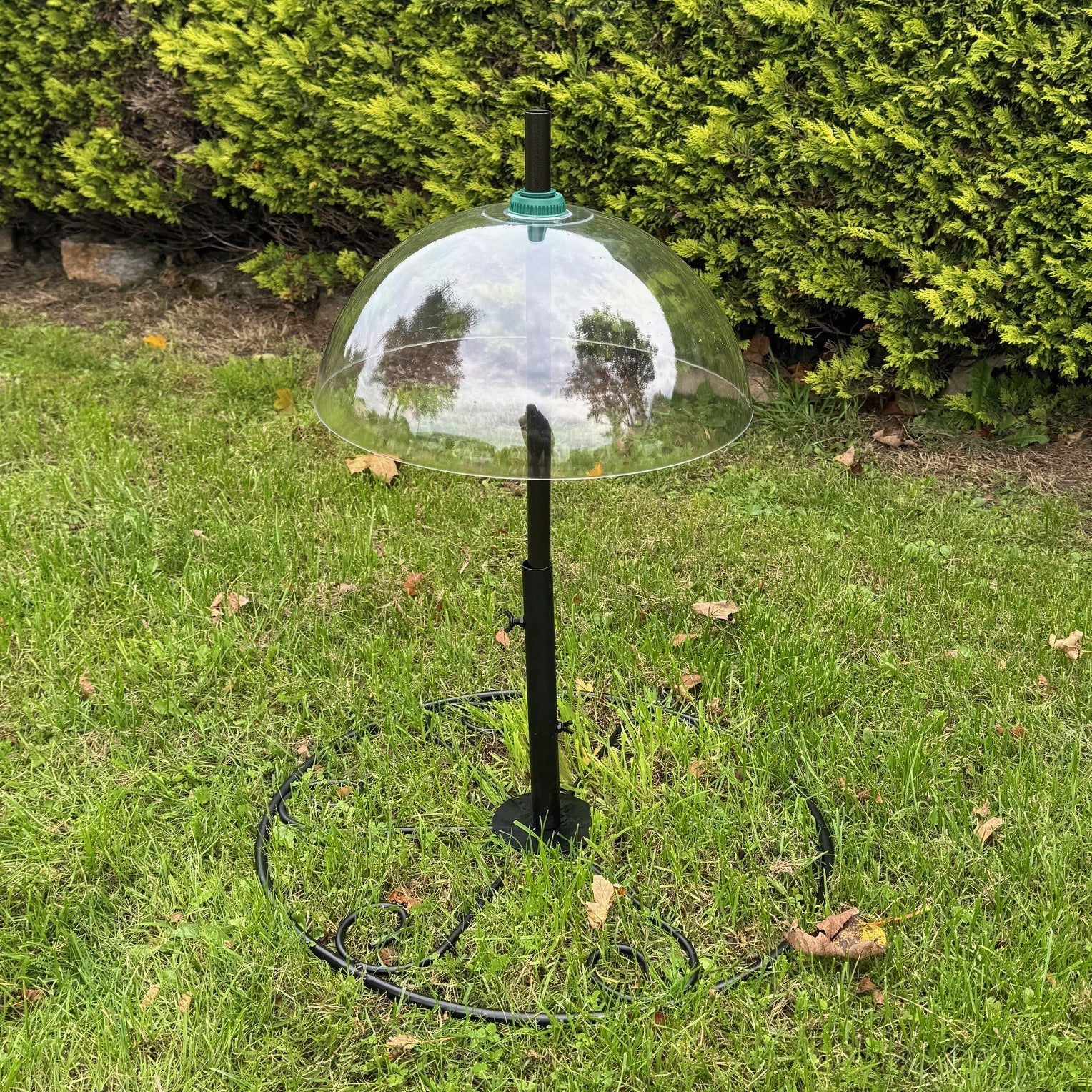 Bird Feeding Station Squirrel Baffle, Extension Pole & Patio Stand Pack
