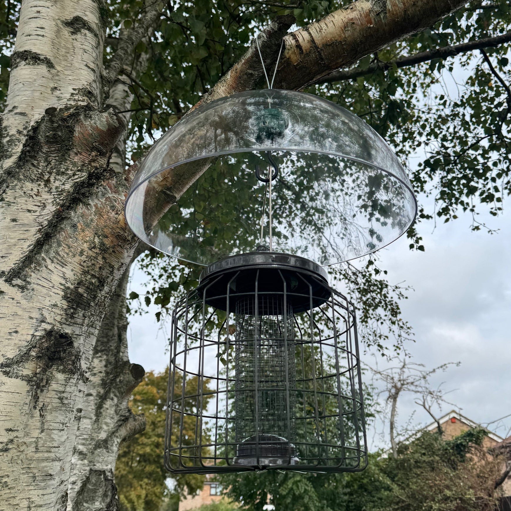 Heavy Duty Squirrel Proof Hanging Bird Nut Feeder & Plastic Baffle