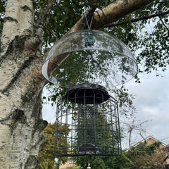 Heavy Duty Squirrel Proof Hanging Bird Nut Feeder & Plastic Baffle