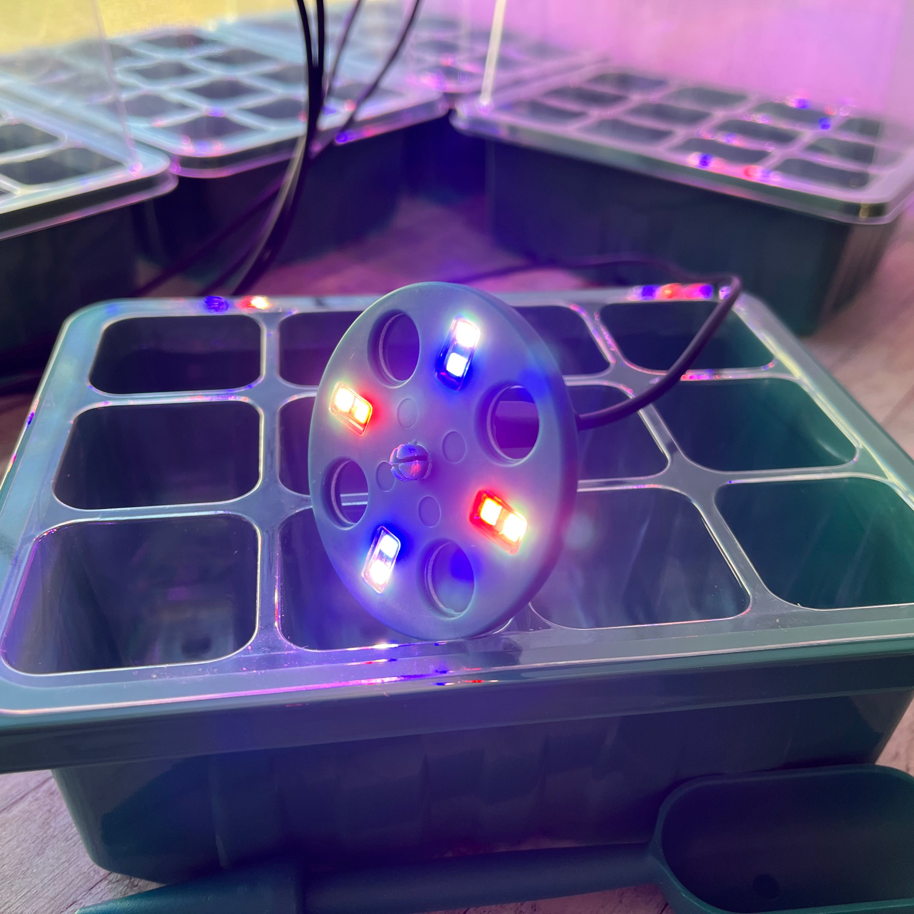 Plant Propagator 12 Cell Seed Tray Set with Full Spectrum USB Grow Lights - Pack of 5