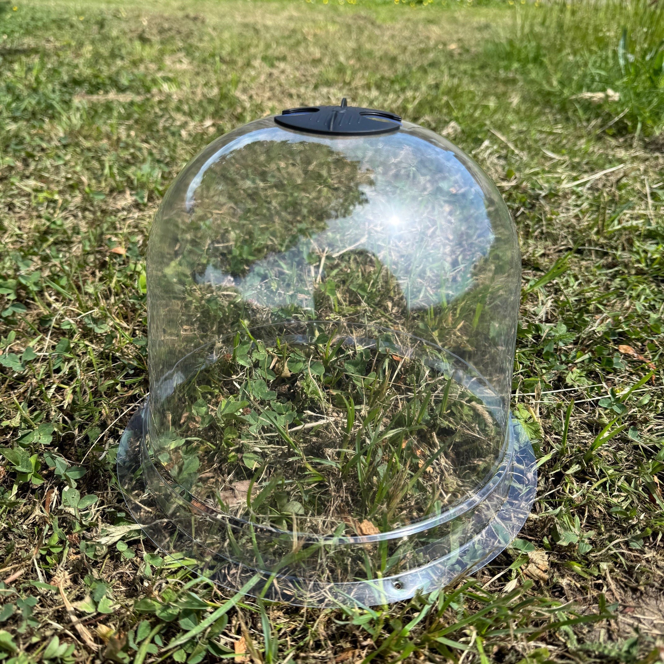 Plastic Plant Protection Bell Cloche Covers with Ground Pegs - Pack of 10