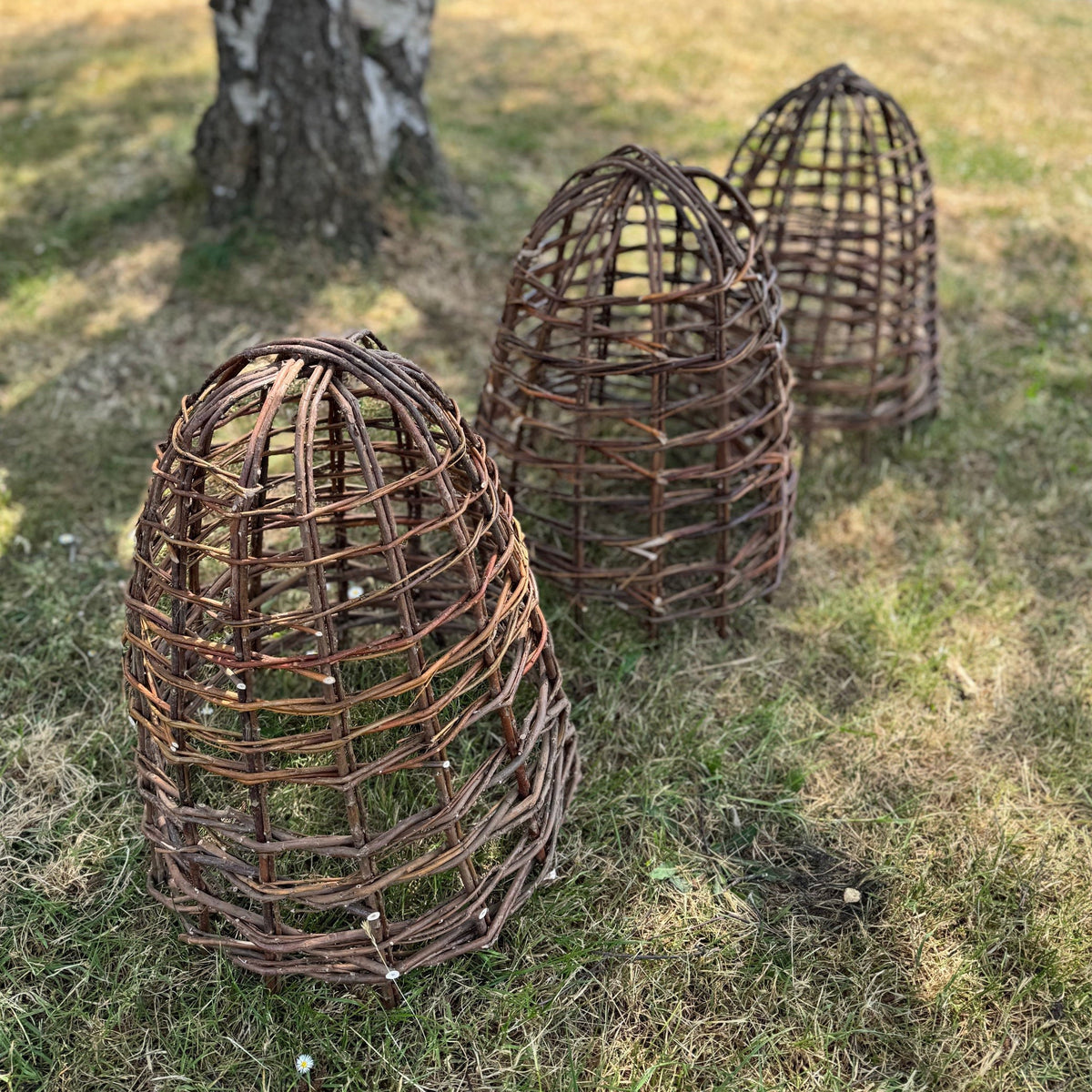 Willow Herbaceous Plant Protection Cloches (Set of 3)