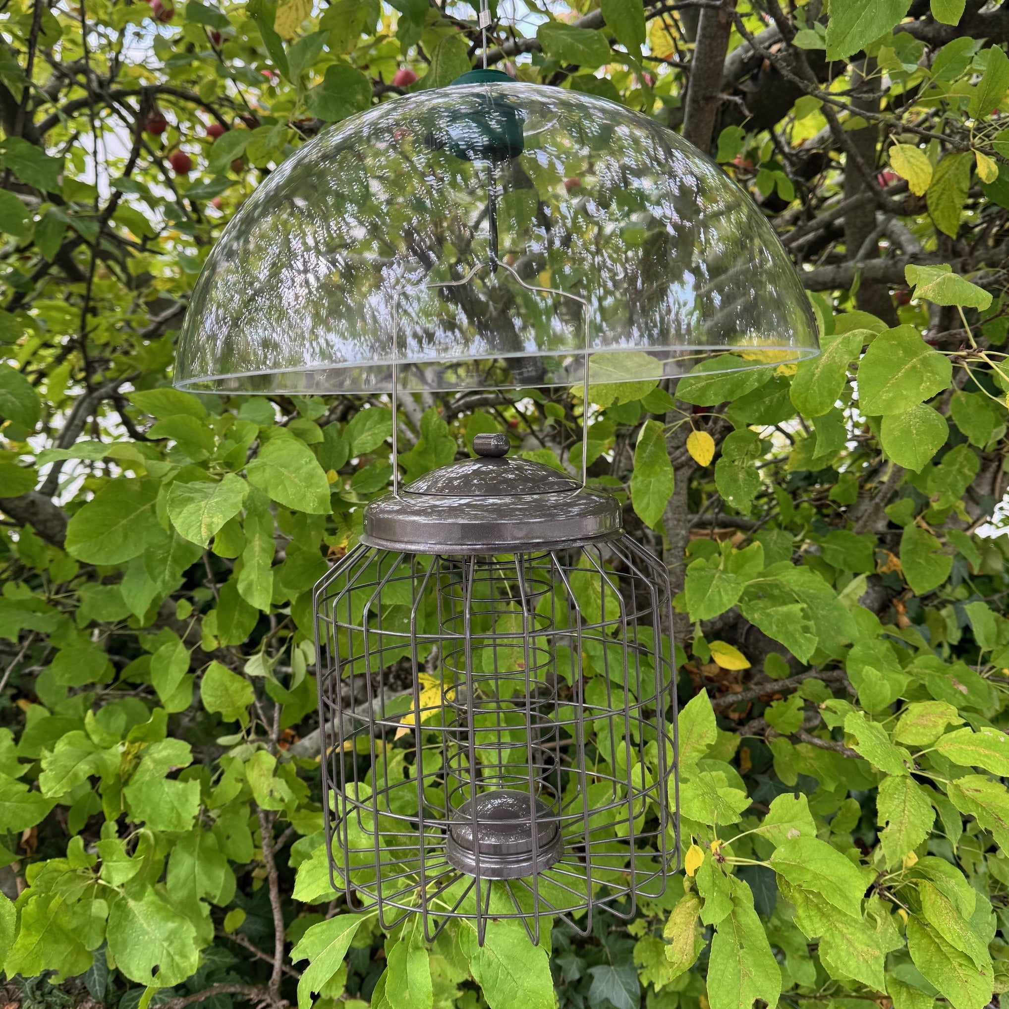 Heavy Duty Squirrel Proof Hanging Suet Fat Ball Bird Feeder & Plastic Baffle