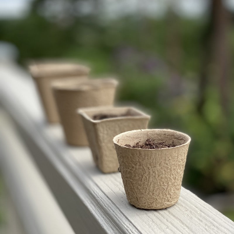 Eco Round Fibre Biodegradable and Compostable Plant Pots (5cm ) - Pack of 144