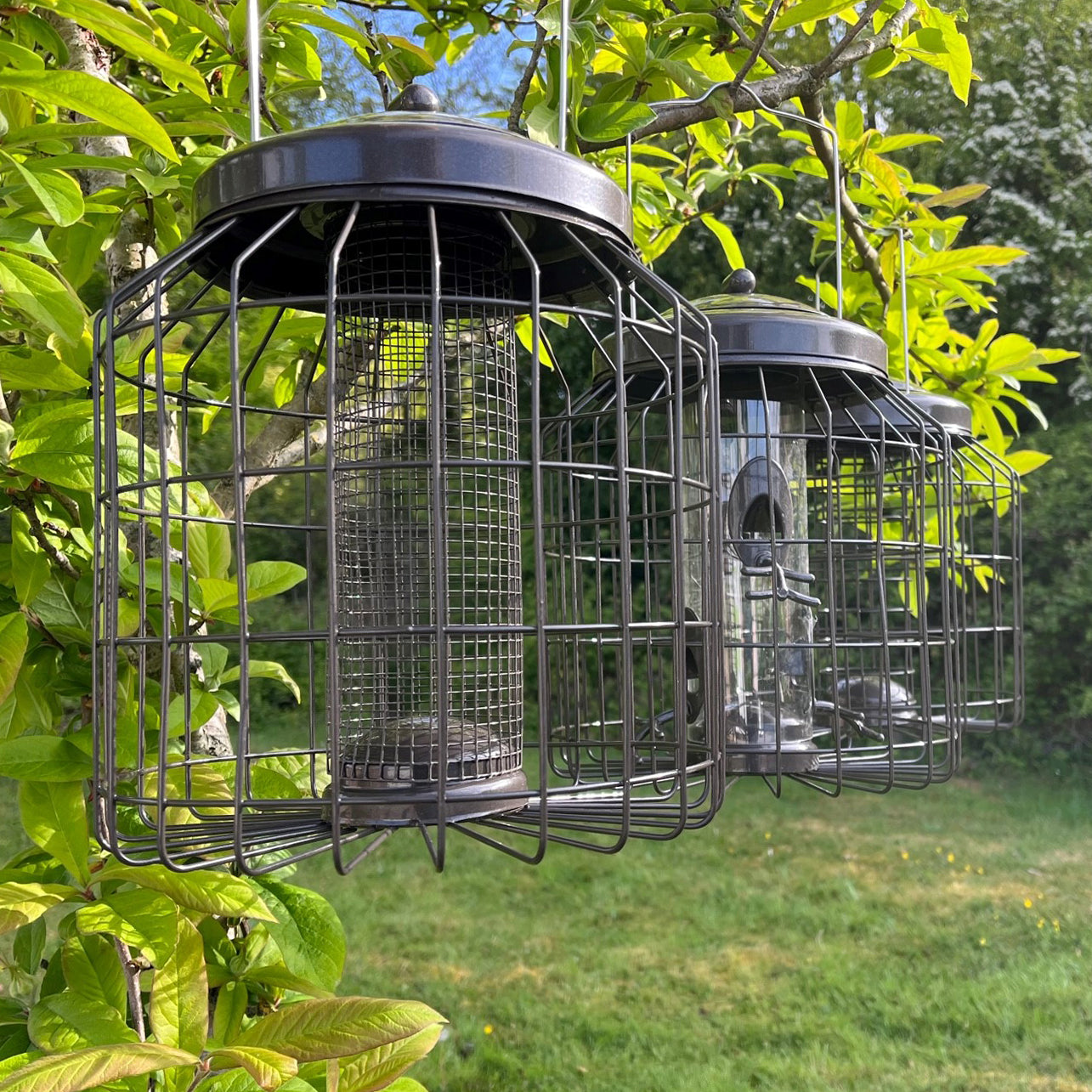 Deluxe Heavy Duty Squirrel Proof Hanging Nut, Seed & Fat Ball Bird Feeders (Set of 3)