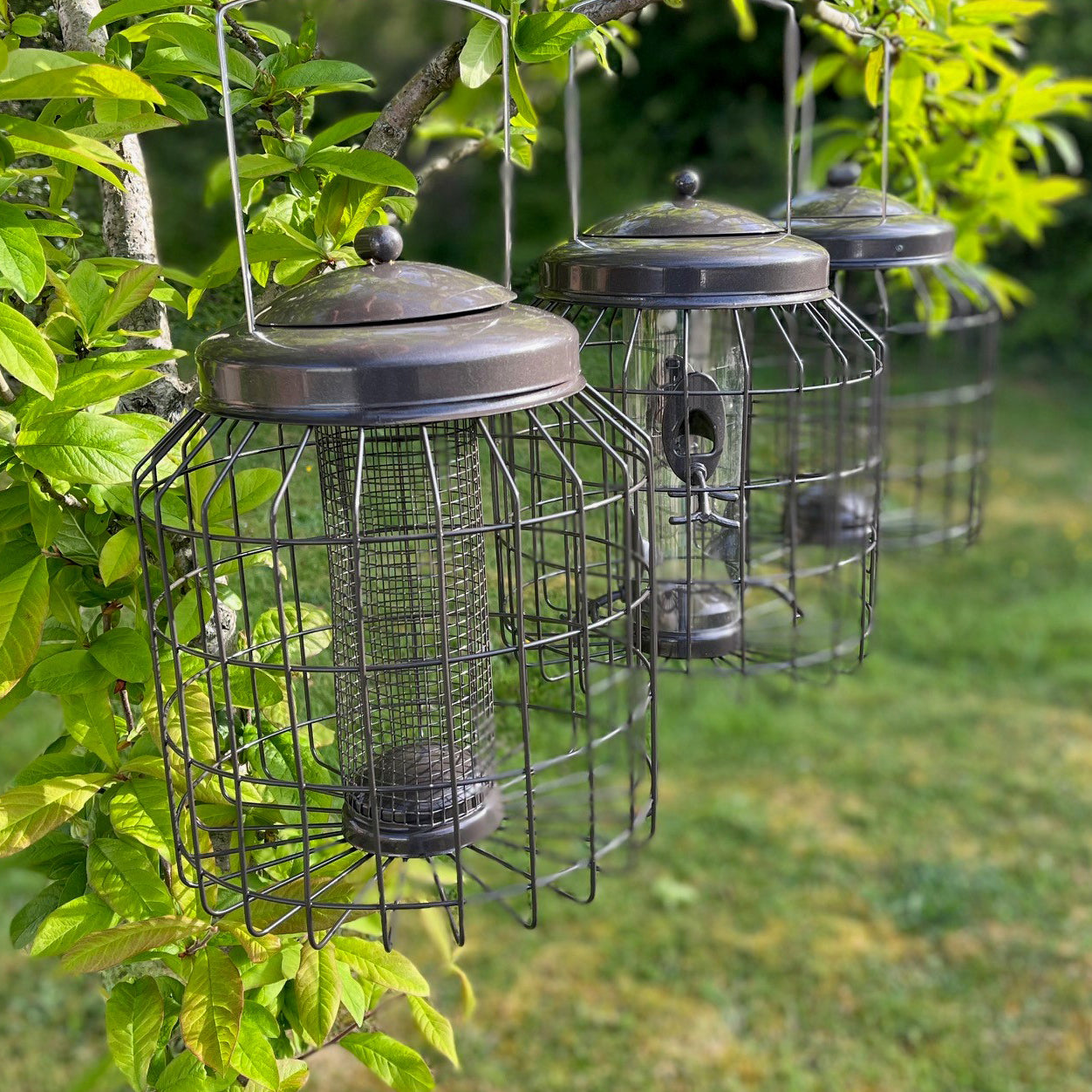 Deluxe Heavy Duty Squirrel Proof Hanging Nut, Seed & Fat Ball Bird Feeders (Set of 3)