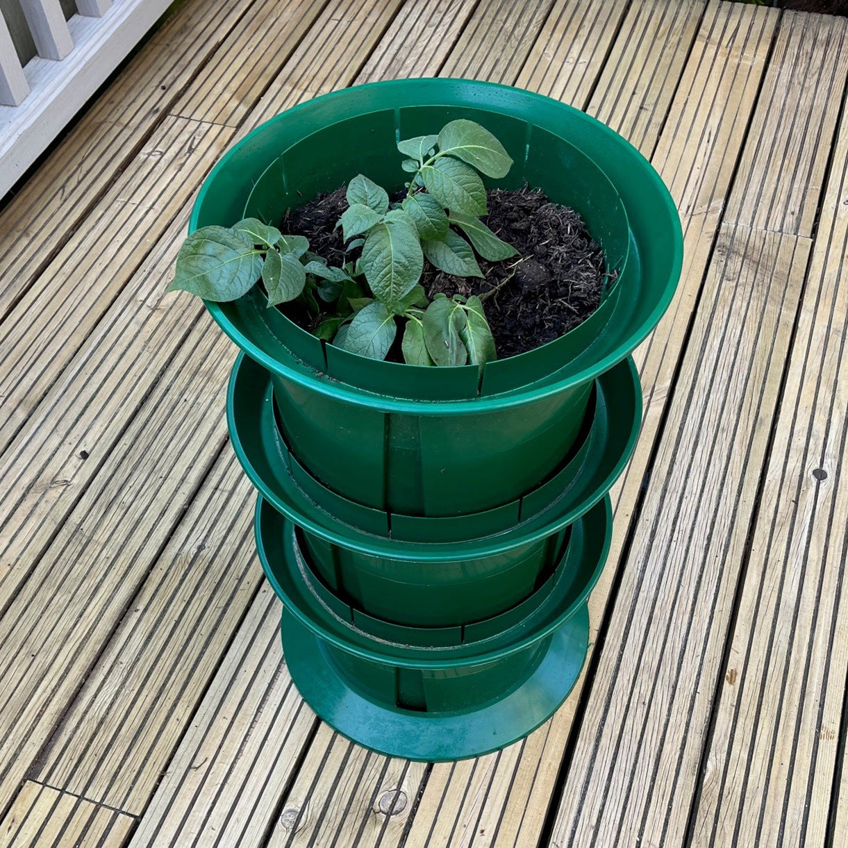 Platform Potato Growing Pot Planter