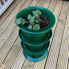 Platform Potato Growing Pot Planters - Pack of 2