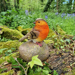 Red Robin on a Stone Resin Garden Ornaments - Pack of 2