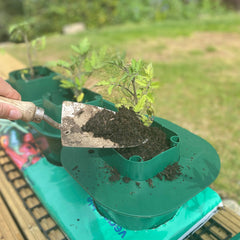 Planting Guard for Tomato Growbag Pot