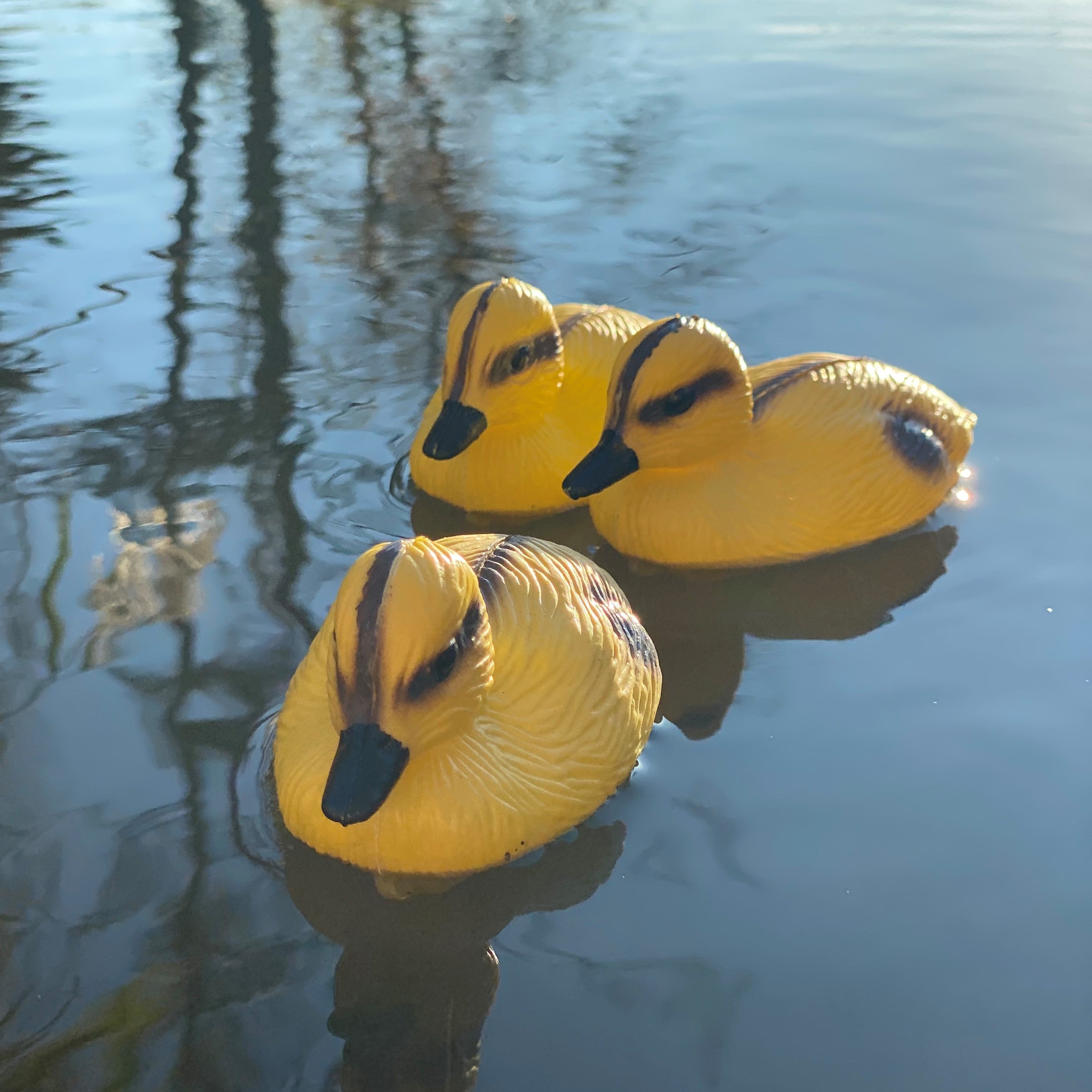 Yellow Ducklings Pond Ornament Hunting Shooting Floating Decoy - Pack of 6