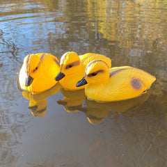 Yellow Ducklings Pond Ornament Hunting Shooting Floating Decoy - Pack of 3