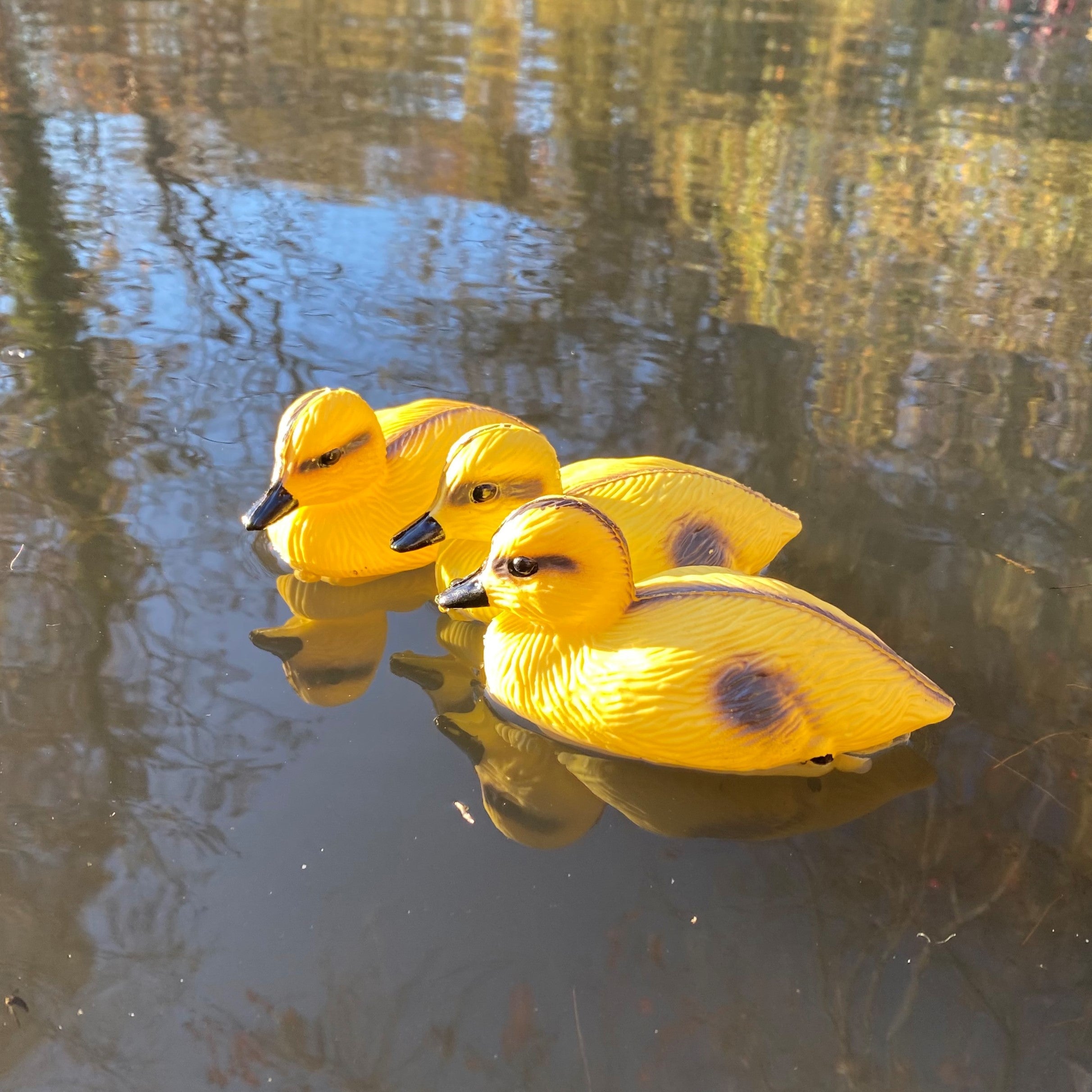 Yellow Ducklings Pond Ornament Hunting Shooting Floating Decoy - Pack of 3