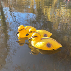 Yellow Ducklings Pond Ornament Hunting Shooting Floating Decoy - Pack of 3